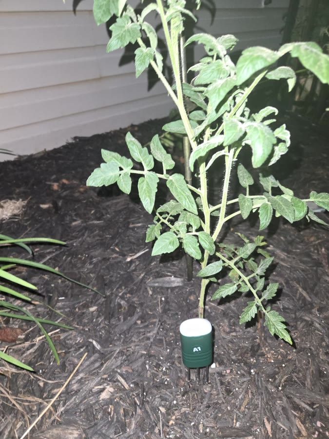 Customer photo attached to review by David Sanborn